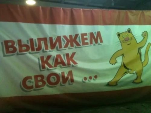 смех, смешная реклама автомоек