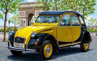 70-річний дідусь Citroen проїхався бездоріжжям