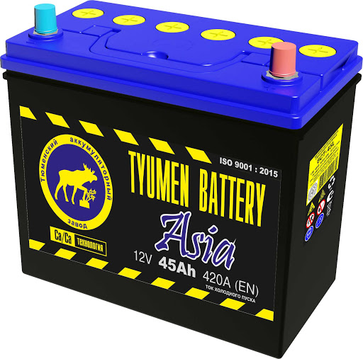 Tyumen Battery Asia
