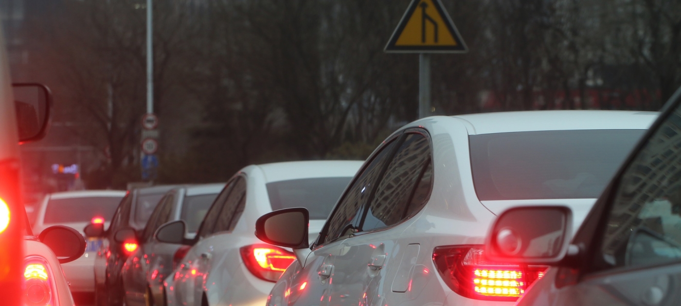 Влияние автотранспорта на экосистему