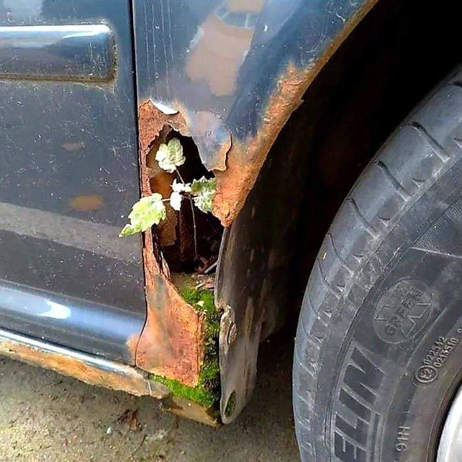 Экологические стандарты авто