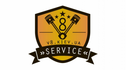 V 8 Service