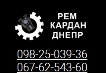 Рем Кардан Днепр