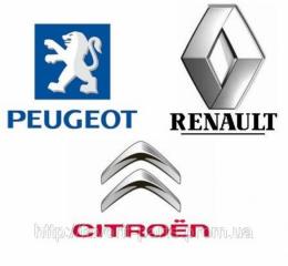 Francuz garage
