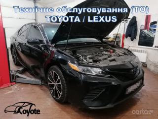 Койот