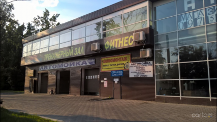 Дельфин