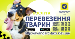 Авангард такси, Таксі, 2026, Проспект Голосеевский, записатися, відгуки