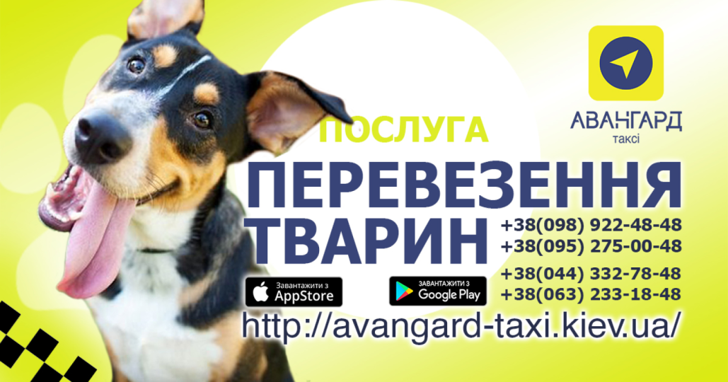 Авангард такси, Таксі, 2026, Проспект Голосеевский, записатися, відгуки