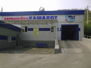 Кашалот