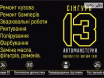 Сингури, СТО, 2026,   Житомир, Житомирская 1-ч, записаться, отзывы