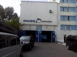 Дельфин