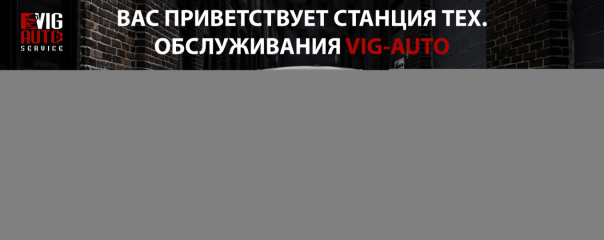 VIG-AUTO